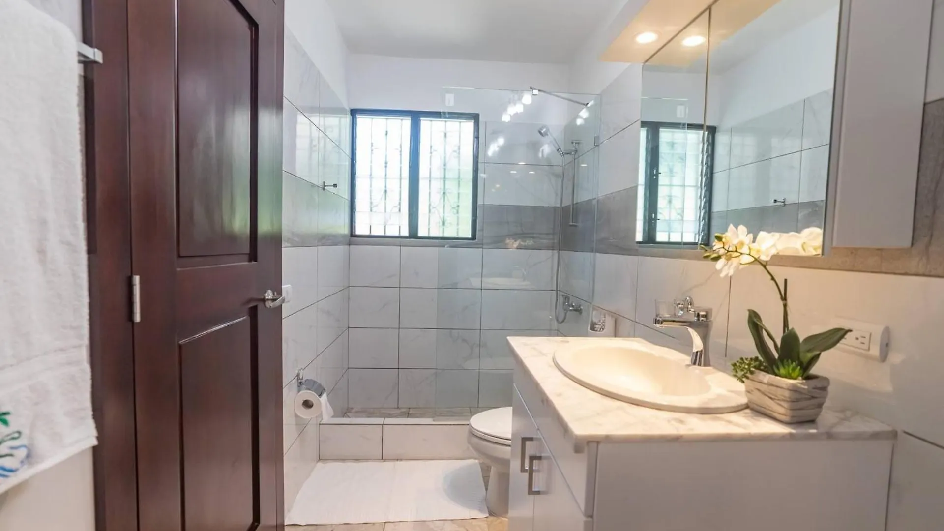 7Br Massive Villa In Sosua - 2Mins From Nightlife Appartement